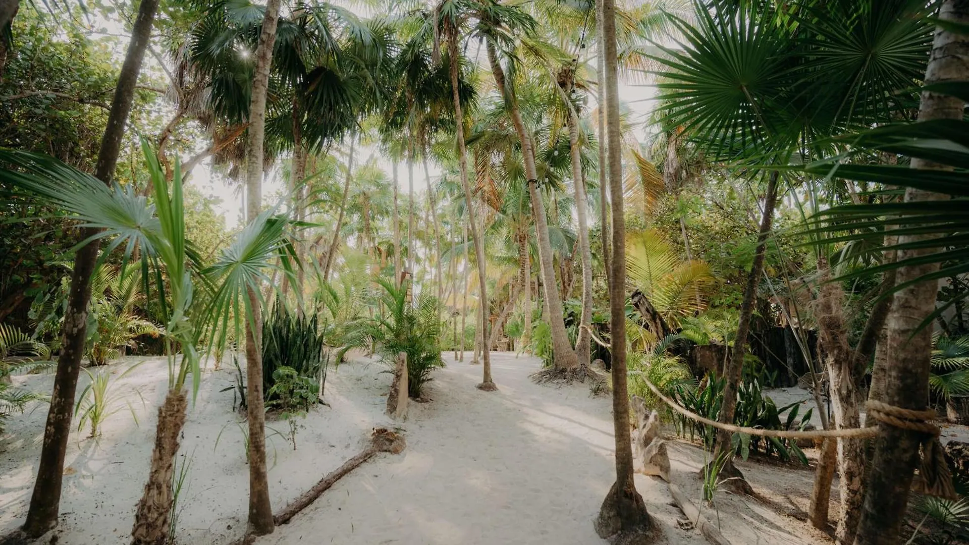 Luxury Penthouse With Private Pool In Aldea Zama Lejlighed Tulum